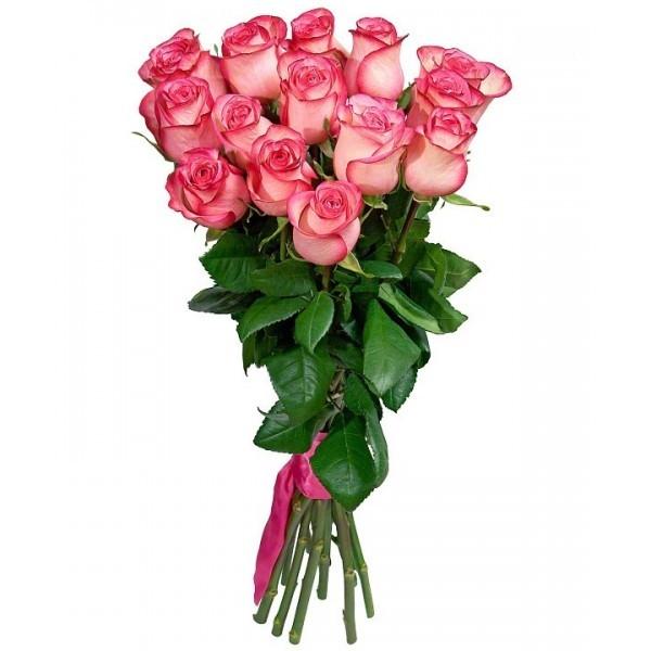 Букет 15 розовых роз 60 см
